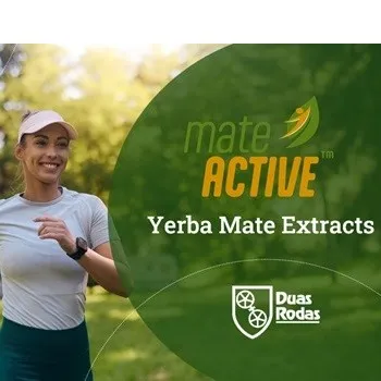 Yerba Mate: The Green Jewel from Latin America