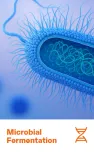 Microbial Fermentation Contract Manufacturing