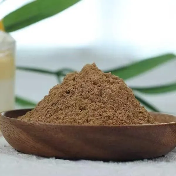 Organic Lion's Mane (Hericium erinaceus) Powder
