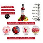 Mayer Premium Raspberry Syrup / Cordial