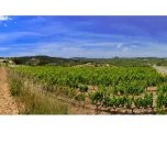 Nen del Celler