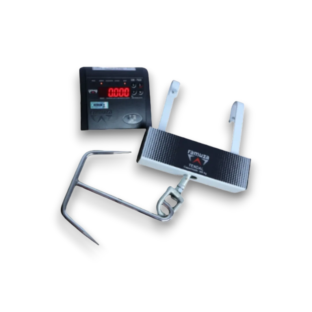 DT - 2439