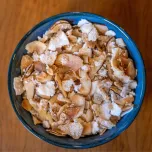 Tapioca Crocante com Chips de Coco 30g