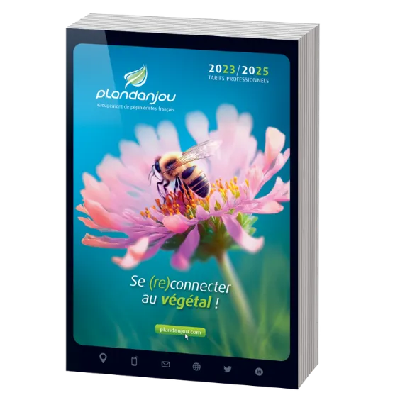 CATALOGUE PLANDANJOU 23/25