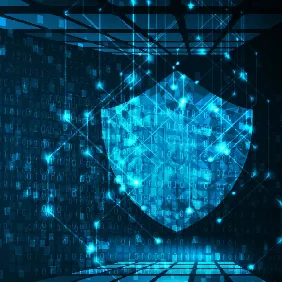 Seguro Transporte Internacional - Online