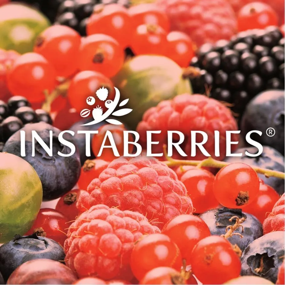 INSTABERRIES® Fermented Mixed-Berries