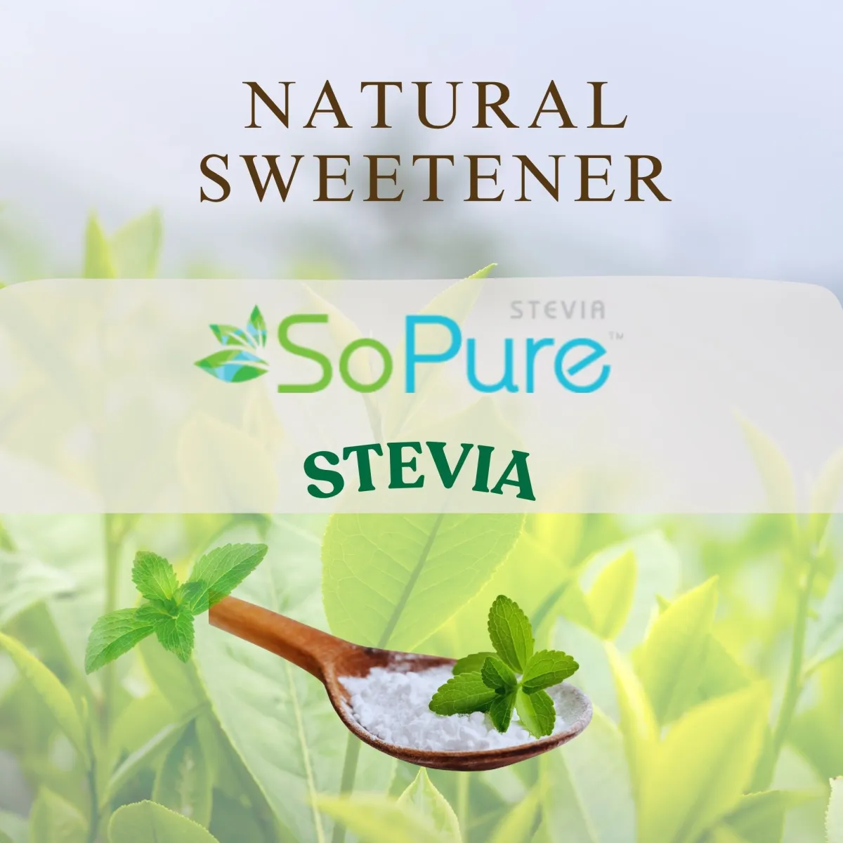 Stevia - Natural sweetener