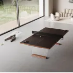 SCAMBIO Table Tennis