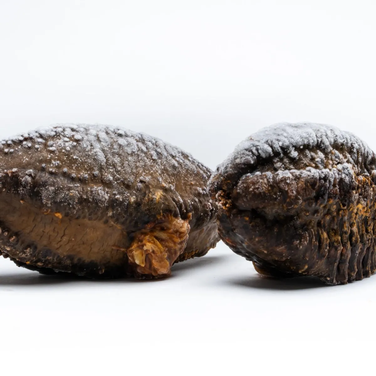 Sea cucumber, water out and cooked 30 min.