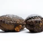 Sea cucumber, water out and cooked 30 min.