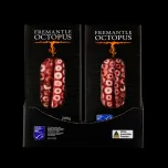 Octopus (Octopus Djinda)
