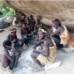 Unforgettable Tanzania Safari Experience