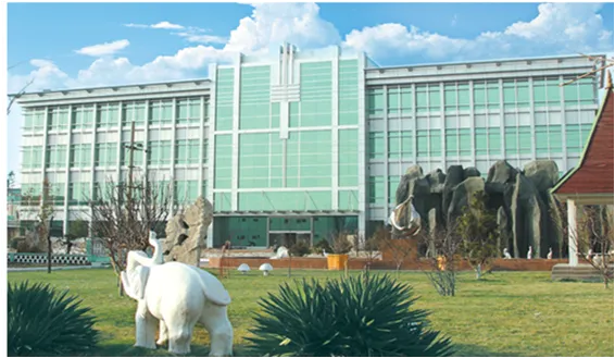 Paracetamol (Acetaminophen) 40,000Mt/Year