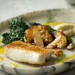 Murray Cod (Maccullochella peelii)