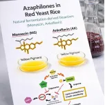 Compliant Red Yeast Rice Alternative, ANKASCIN® 568