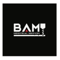 BAM Industrial Services Inc