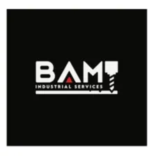 BAM Industrial Services Inc
