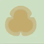 Polyurethane foam dressing