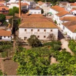 Cerejeiras Rosé