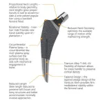 VarioLoc Hip Stems (HA Coating, TPS Coating, Short stem, Cemented Stem) and modular stem for revision