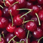 CHERRYGO® Regeneration after sport activity