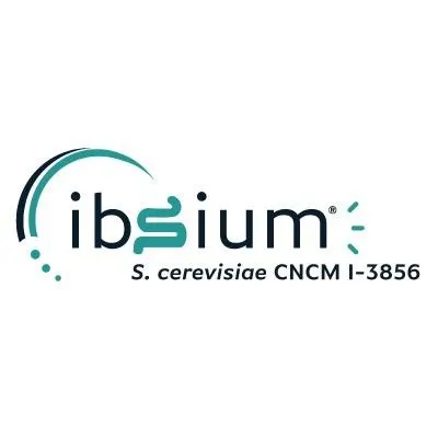 ibSium
