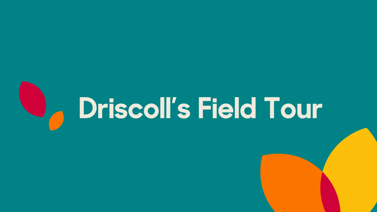 Driscoll’s Field Tour
