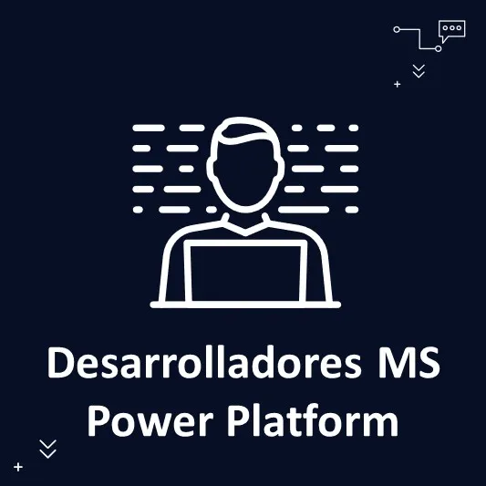 Desarrollador/ra MS Power Platform