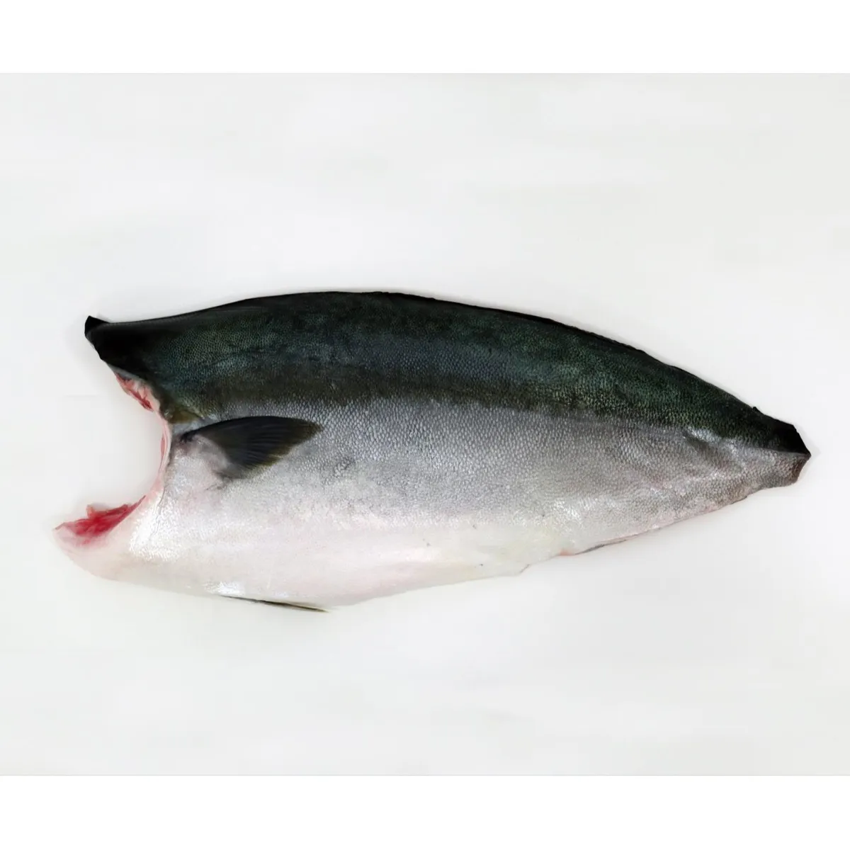 Hamachi (Yellowtail) Fillet