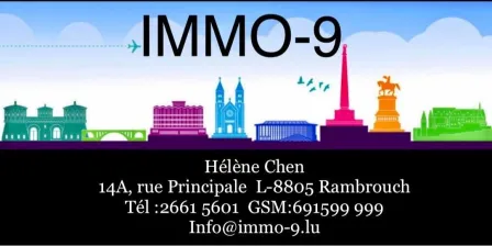IMMO-9