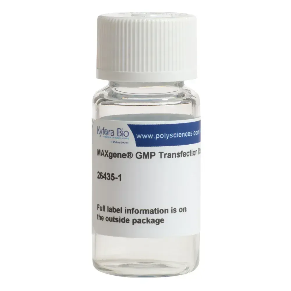 MAXgene® GMP Transfection Reagent, Powder