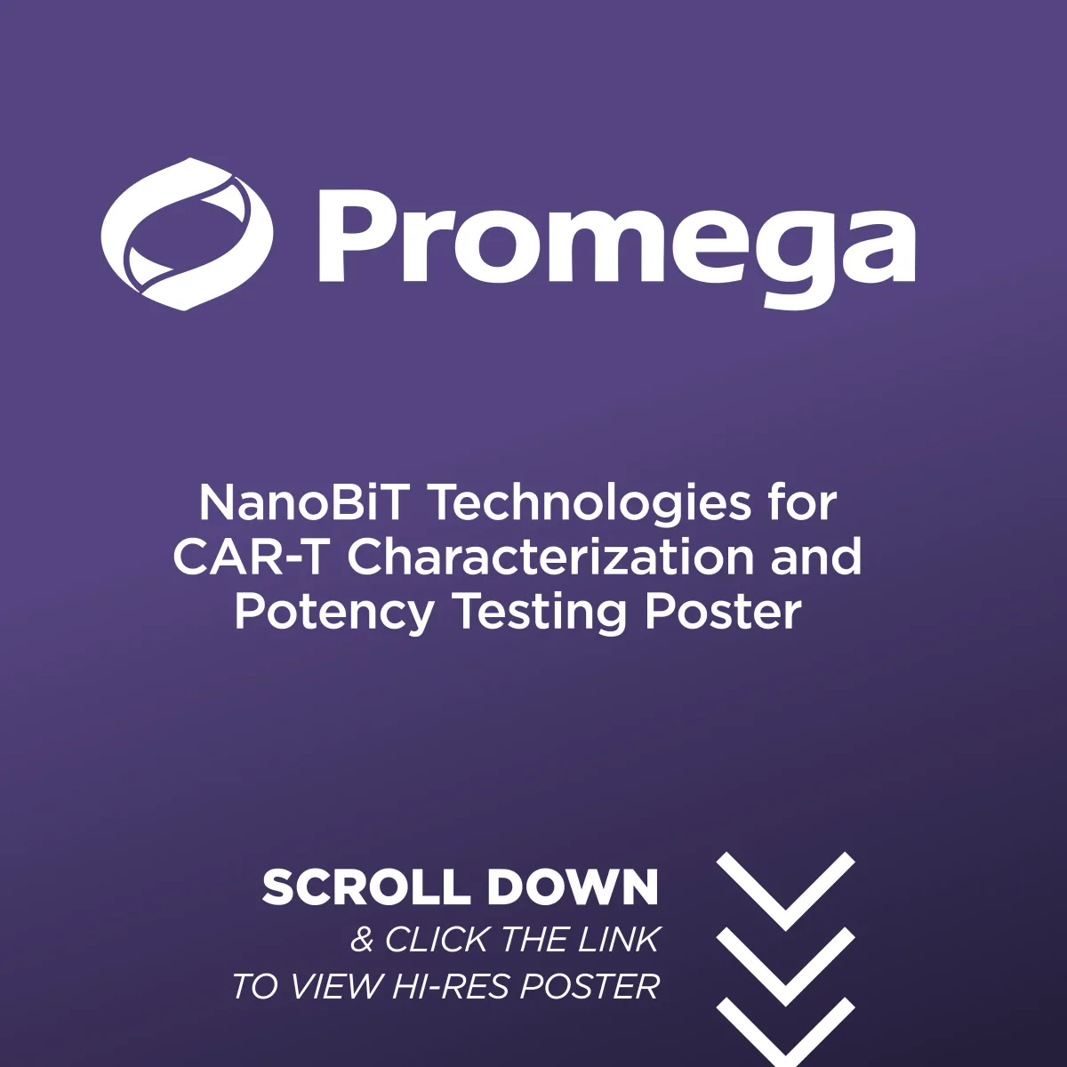 NanoBiT Technologies for CAR-T Characterization and Potency Testing Poster
