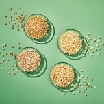 Ingenient Inclusions™