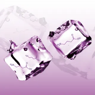 Gabarelax™ Gamma Aminobutyric Acid