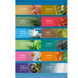 CATALOGUE PLANDANJOU 23/25