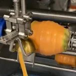 FRUIT PEELING 4 TH RANGE