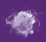 API Processing portfolio