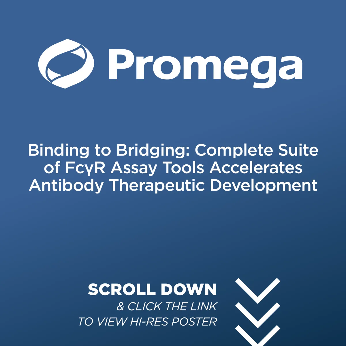 Binding to Bridging: Complete Suite of FcγR Assay Tools Accelerates Antibody Therapeutic Development