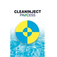 CLEANINJECT PROCESS