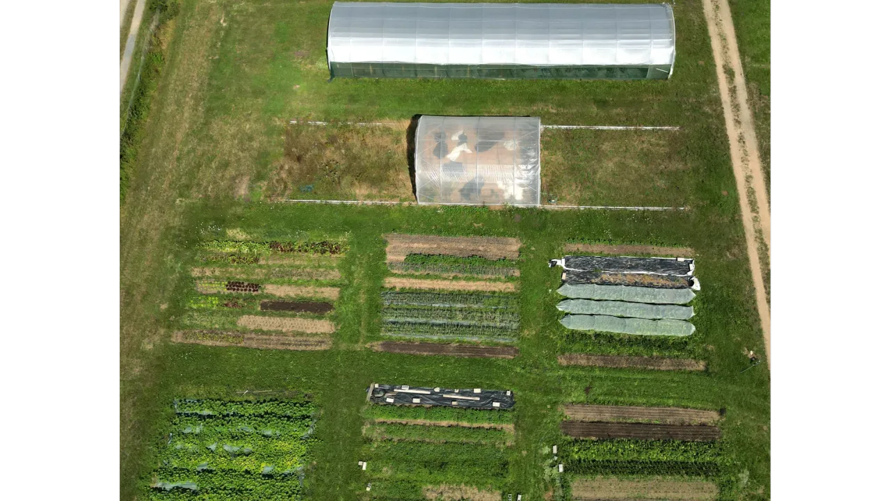 Références technico-économiques en maraîchage diversifié sur petite surface