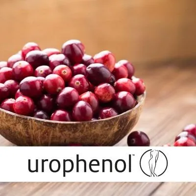 Urophenol™ to support urinary tract health