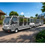 Compact Mobility EVs