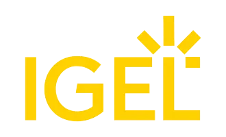 IGEL TECHNOLOGY SAS