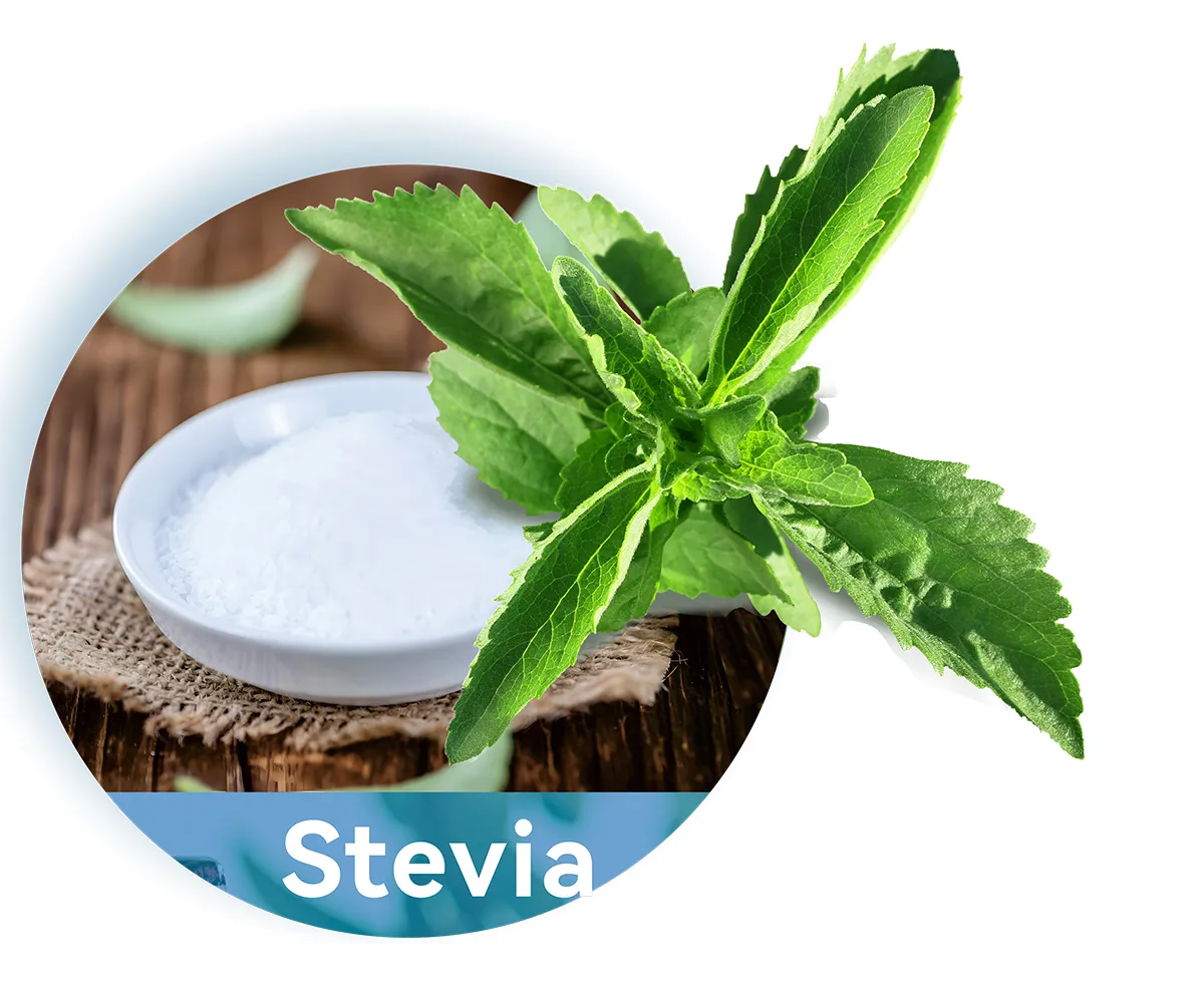 STEVIA EXTRACT