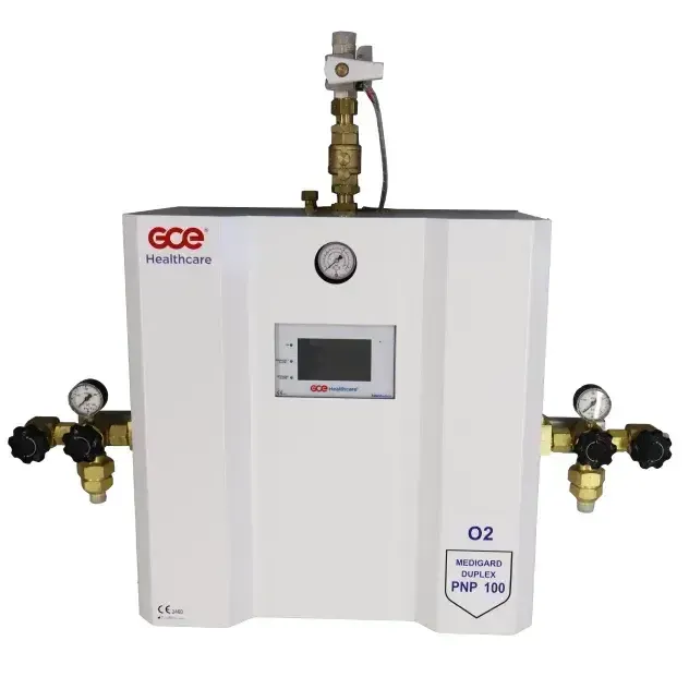 Duplex PNP100 Two-Stage Gas Manifold