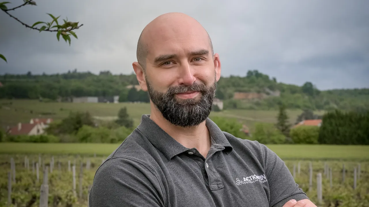 La robustesse de la synergie Héliosoufre et Héliocuivre contre les maladies du feuillage en vigne (Oïdium, Mildiou, Blackrot)