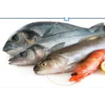 Poulpes, Seiches , Calamars, Crevettes, Langoustes, Crabes , Dorades, Soles, thiofs, Capitaine, Sardinelles, chinchards, maquereau, sabre, ethmalose , Farine et huiles de poissons , cymbium, praires, les buches