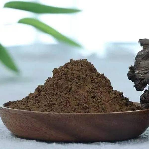 Organic Maitake extract 8:1