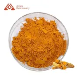 Curcumin Powder