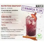 Mayer Premium Cinnamon Plum Syrup / Cordial